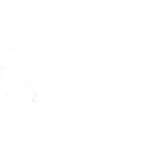 Meet your Posher, Izzy